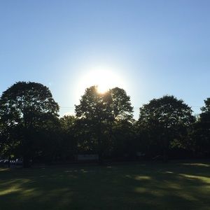 Meet your Posher, Zoey